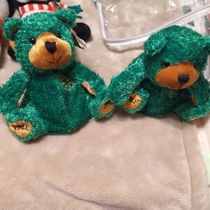 Green Stuffed Bear Toy Set